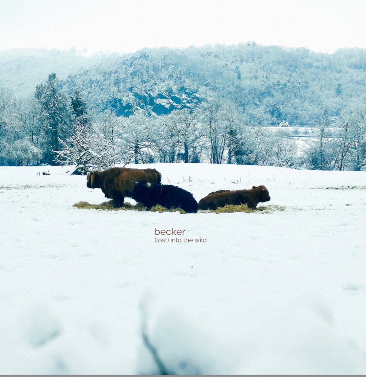 Pochette de Becker — (lost) into the wild
