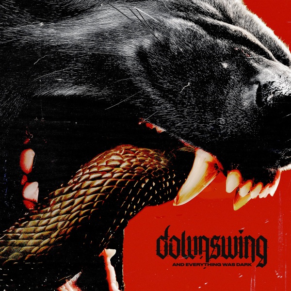 Le nouvel album de Downswing en écoute image