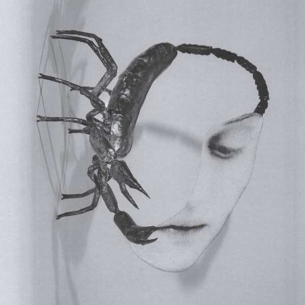 Sortie du nouvel album de Tortoise image
