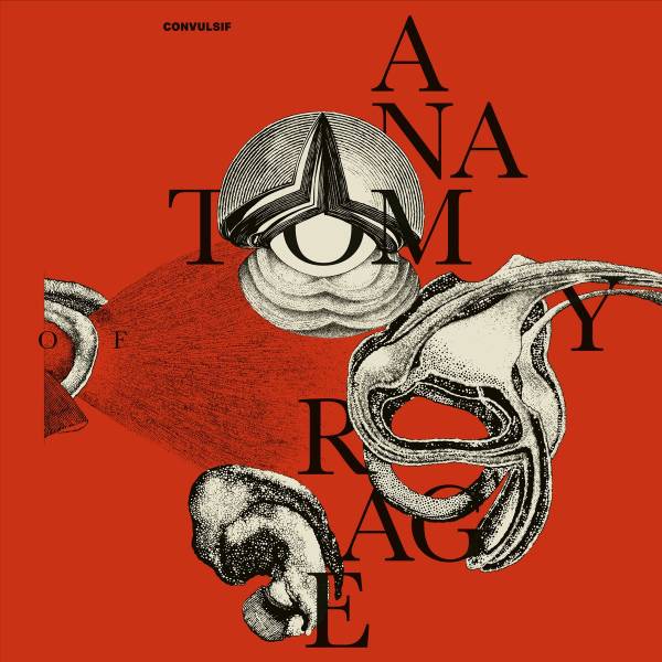 Le nouvel album de Convulsif en écoute