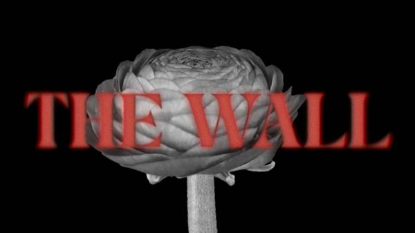 Thot reprend "What Shall We Do Now?" de Pink Floyd