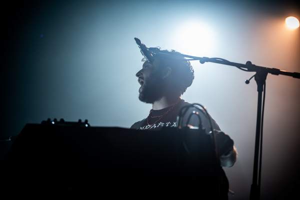 Ultraphallus à Bruxelles (Botanique), le 22-06-2023, par Fred — 15 sur 20