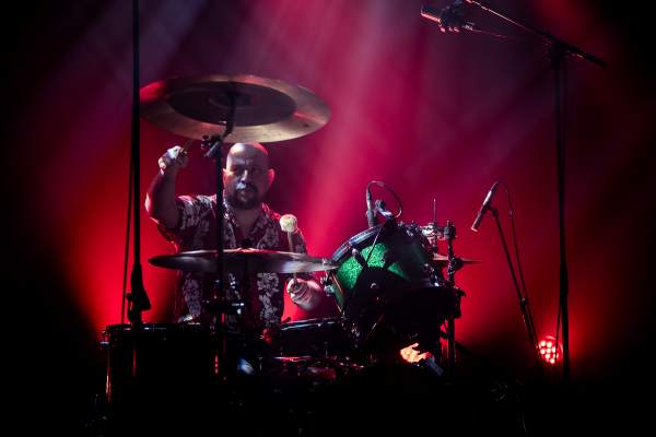 Ultraphallus à Bruxelles (Botanique), le 22-06-2023, par Fred — 9 sur 20