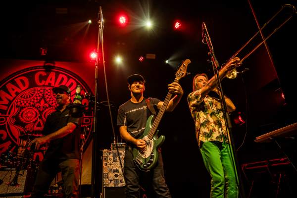 Mad Caddies à Leuven (Het Depot), le 12-11-2023, par Jürgen Bruynooghe — 14 sur 33