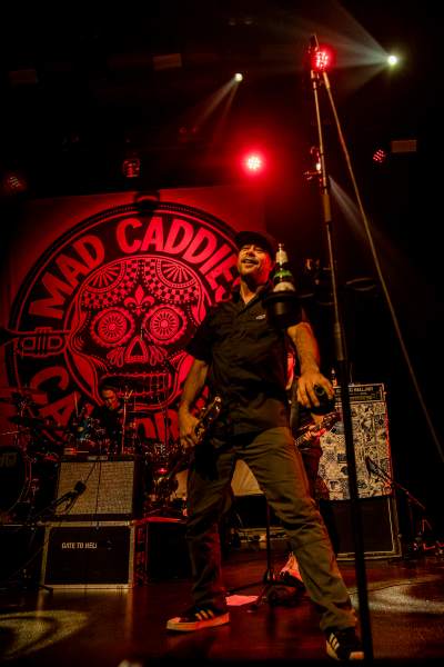 Mad Caddies à Leuven (Het Depot), le 12-11-2023, par Jürgen Bruynooghe — 16 sur 33