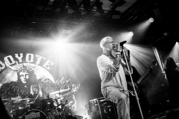 Woyote à Lokeren (Lokerse Feesten), le 06-08-2024, par Nicolas Lambinet — 2 sur 13