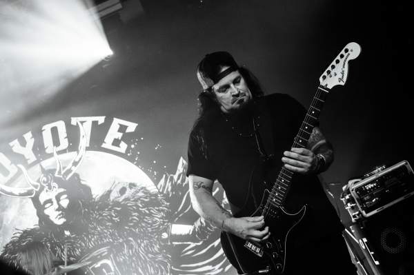 Woyote à Lokeren (Lokerse Feesten), le 06-08-2024, par Nicolas Lambinet — 4 sur 13
