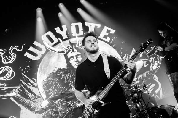 Woyote à Lokeren (Lokerse Feesten), le 06-08-2024, par Nicolas Lambinet — 9 sur 13