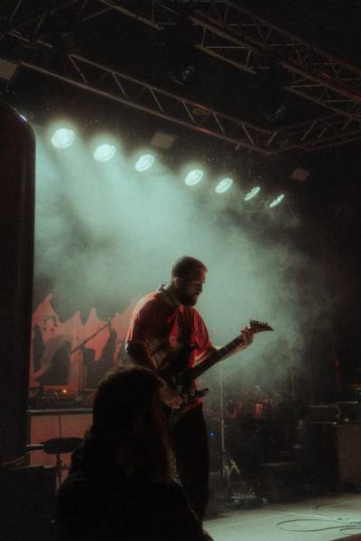 Heriot à Anvers (Zappa), le 01-12-2024, par Ludovic Art — 15 sur 15