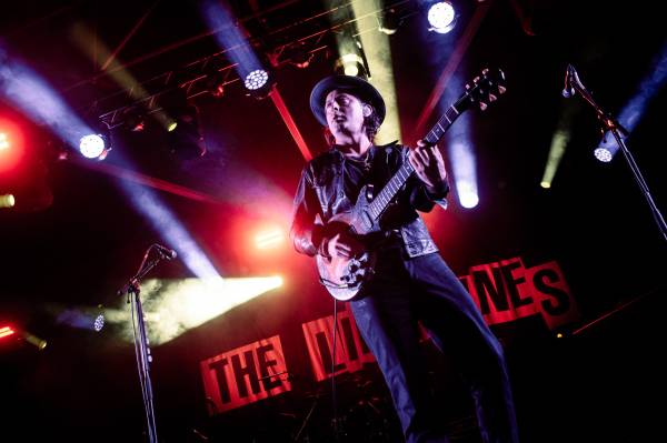 The Libertines à Anvers (Openluchttheater Rivierenhof), le 04-08-2025, par Nicolas Lambinet — 3 sur 19