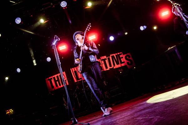 The Libertines à Anvers (Openluchttheater Rivierenhof), le 04-08-2025, par Nicolas Lambinet — 5 sur 19