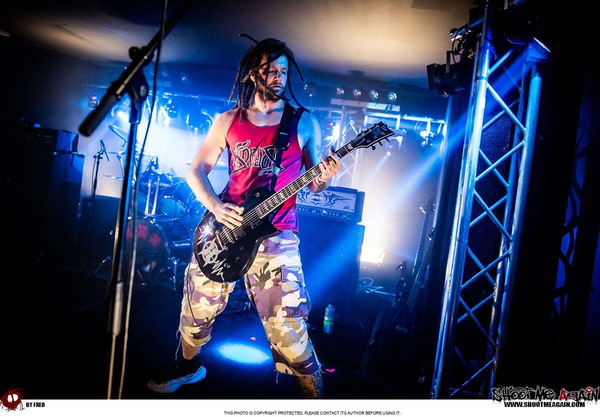 Hemlock à Namur (Belvédère) le 28-10-2025 image