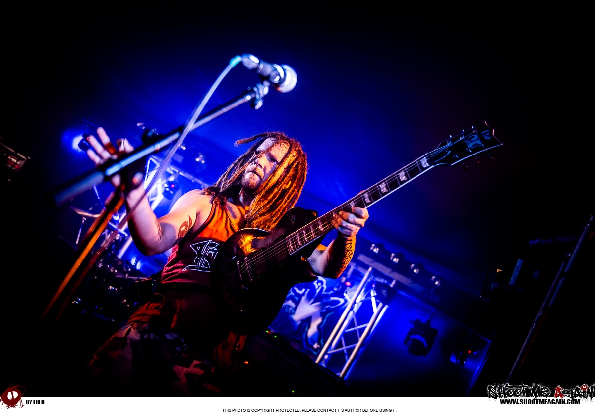 Hemlock à Namur (Belvédère) le 28-10-2025 image