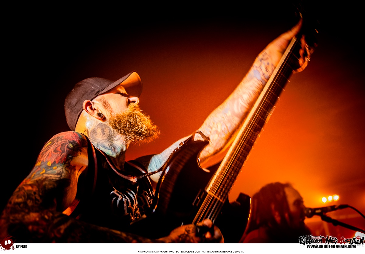 Hemlock à Namur (Belvédère) le 28-10-2025 image