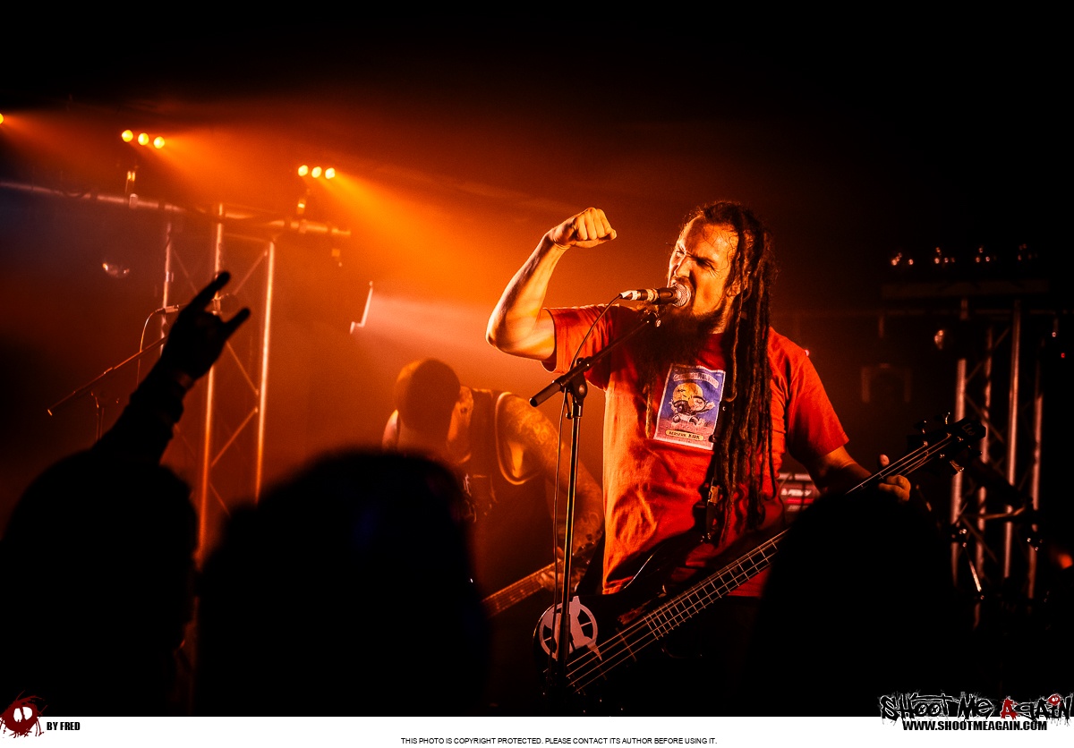 Hemlock à Namur (Belvédère) le 28-10-2025 image