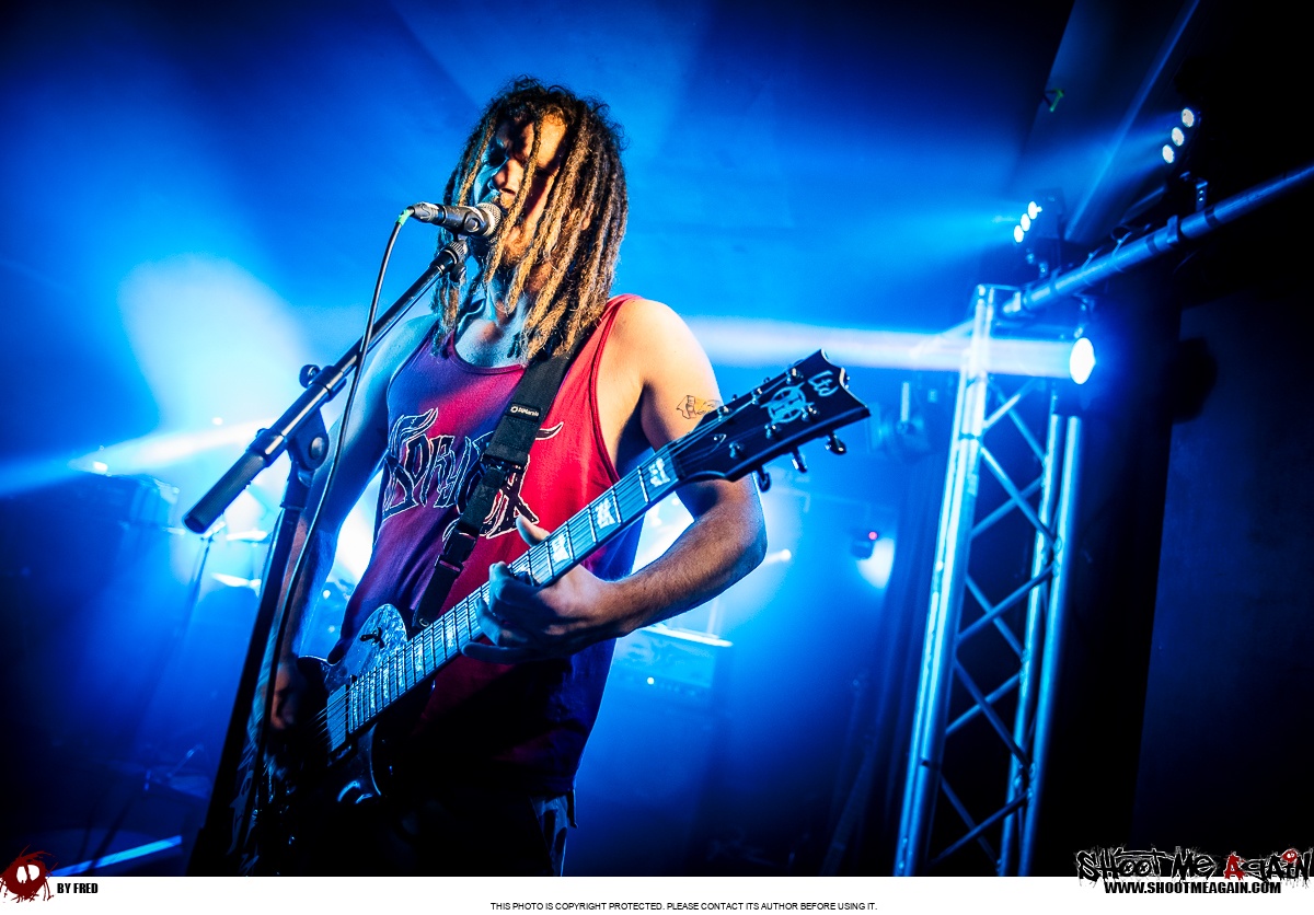 Hemlock à Namur (Belvédère) le 28-10-2025 image