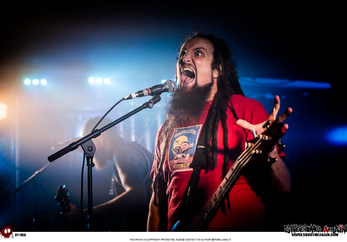 Hemlock à Namur (Belvédère) le 28-10-2025 image