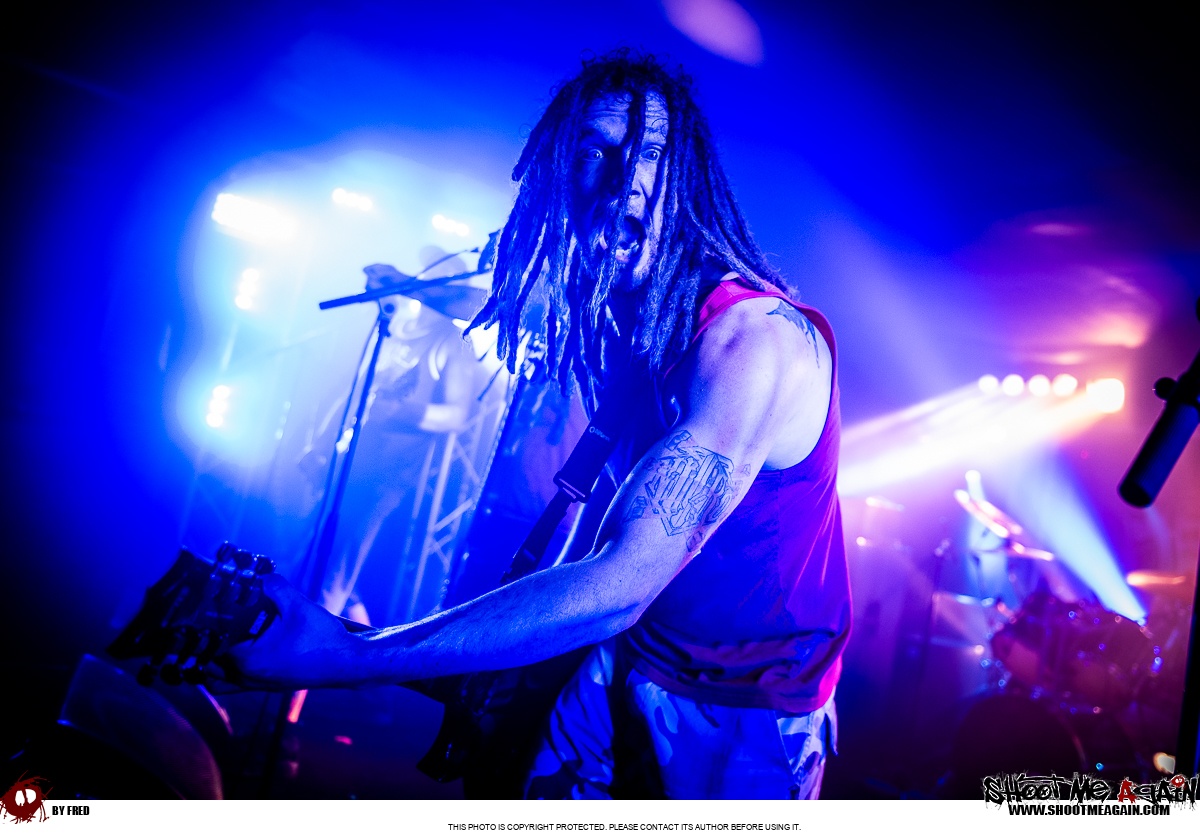 Hemlock à Namur (Belvédère) le 28-10-2025 image