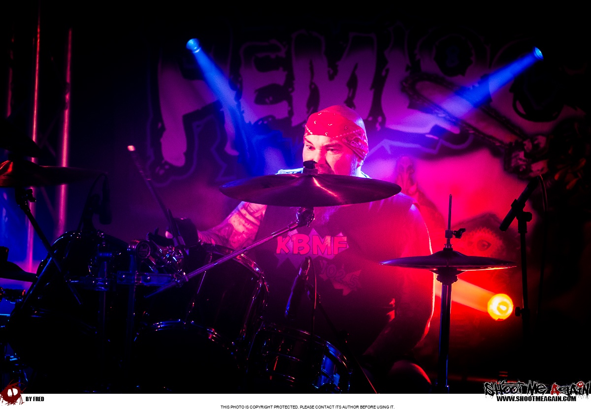 Hemlock à Namur (Belvédère) le 28-10-2025 image