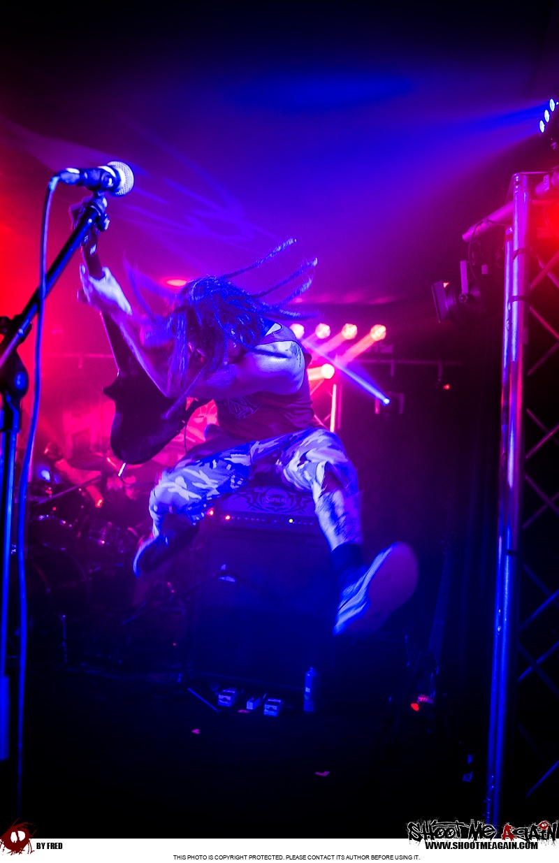 Hemlock à Namur (Belvédère) le 28-10-2025 image