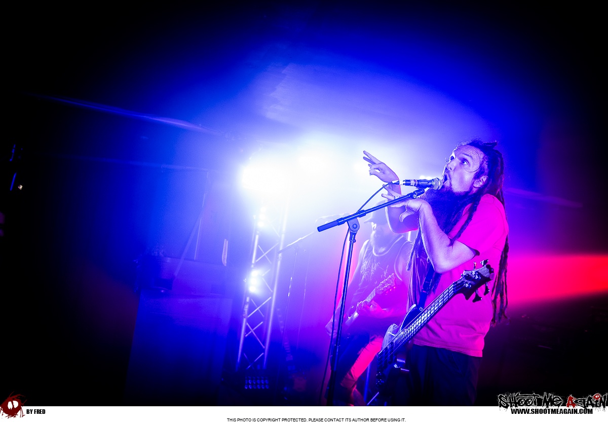 Hemlock à Namur (Belvédère) le 28-10-2025 image