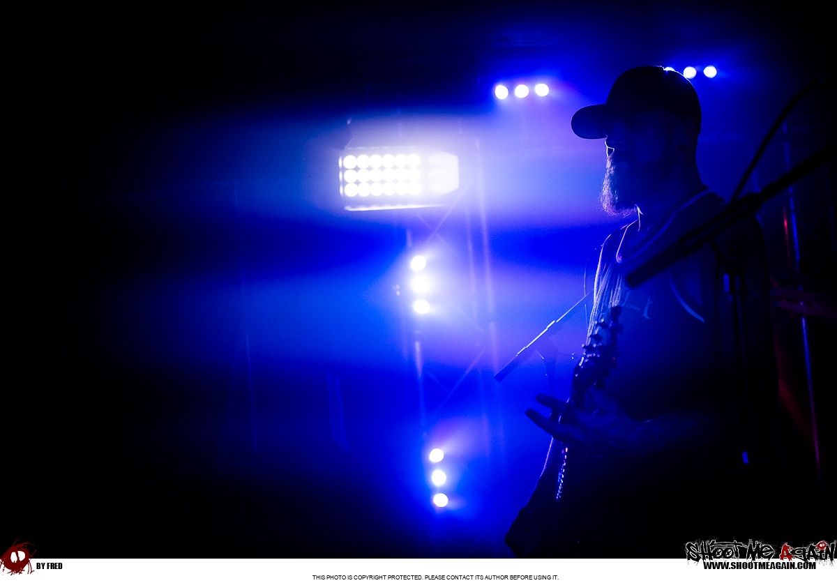 Hemlock à Namur (Belvédère) le 28-10-2025 image