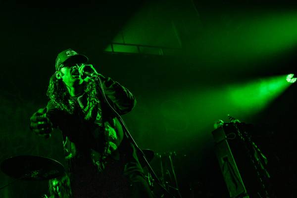Gatecreeper à Bruxelles (Ancienne Belgique), le 04-11-2025, par Jürgen Bruynooghe — 10 sur 33