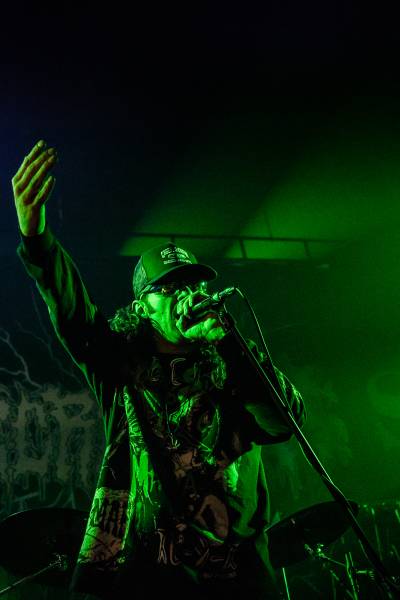 Gatecreeper à Bruxelles (Ancienne Belgique), le 04-11-2025, par Jürgen Bruynooghe — 11 sur 33
