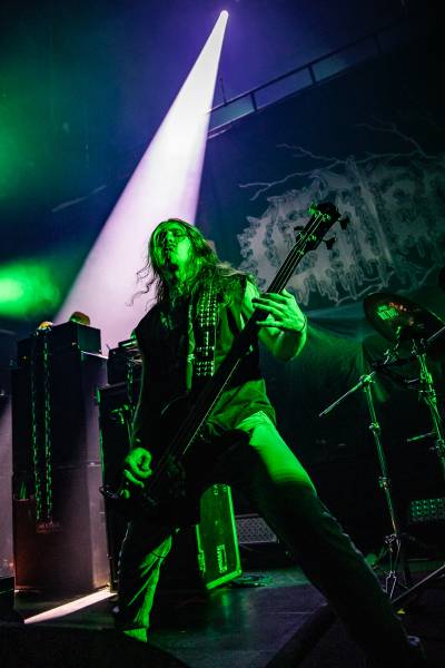 Gatecreeper à Bruxelles (Ancienne Belgique), le 04-11-2025, par Jürgen Bruynooghe — 12 sur 33