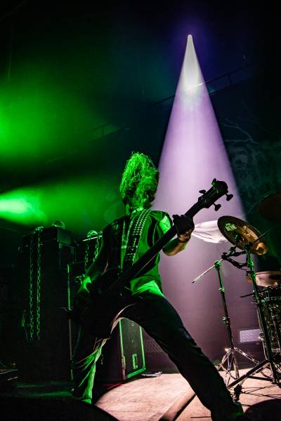 Gatecreeper à Bruxelles (Ancienne Belgique), le 04-11-2025, par Jürgen Bruynooghe — 13 sur 33