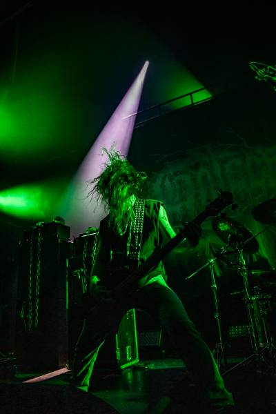 Gatecreeper à Bruxelles (Ancienne Belgique), le 04-11-2025, par Jürgen Bruynooghe — 14 sur 33