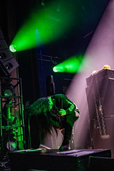 Gatecreeper à Bruxelles (Ancienne Belgique), le 04-11-2025, par Jürgen Bruynooghe — 15 sur 33