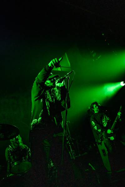 Gatecreeper à Bruxelles (Ancienne Belgique), le 04-11-2025, par Jürgen Bruynooghe — 16 sur 33