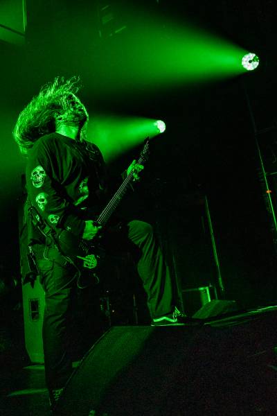 Gatecreeper à Bruxelles (Ancienne Belgique), le 04-11-2025, par Jürgen Bruynooghe — 17 sur 33