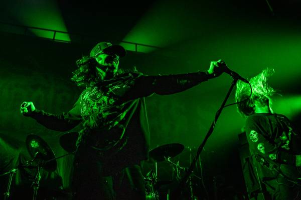 Gatecreeper à Bruxelles (Ancienne Belgique), le 04-11-2025, par Jürgen Bruynooghe — 18 sur 33