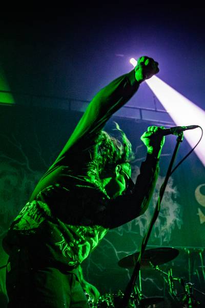 Gatecreeper à Bruxelles (Ancienne Belgique), le 04-11-2025, par Jürgen Bruynooghe — 19 sur 33