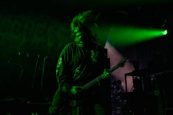 Gatecreeper à Bruxelles (Ancienne Belgique), le 04-11-2025, par Jürgen Bruynooghe — 2 sur 33