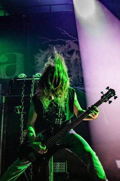 Gatecreeper à Bruxelles (Ancienne Belgique), le 04-11-2025, par Jürgen Bruynooghe — 20 sur 33
