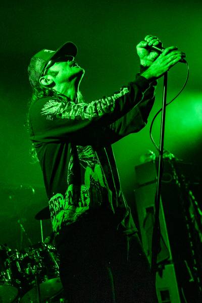 Gatecreeper à Bruxelles (Ancienne Belgique), le 04-11-2025, par Jürgen Bruynooghe — 21 sur 33