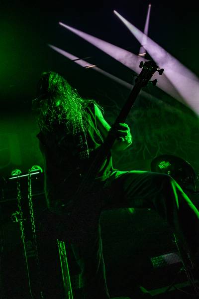 Gatecreeper à Bruxelles (Ancienne Belgique), le 04-11-2025, par Jürgen Bruynooghe — 22 sur 33