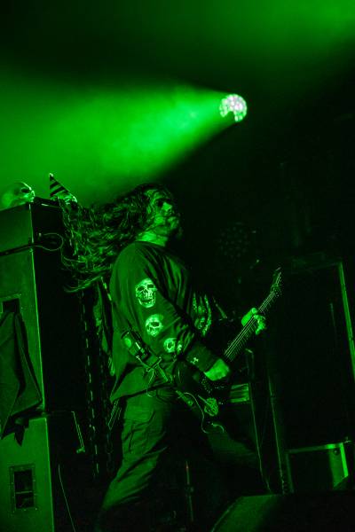 Gatecreeper à Bruxelles (Ancienne Belgique), le 04-11-2025, par Jürgen Bruynooghe — 23 sur 33