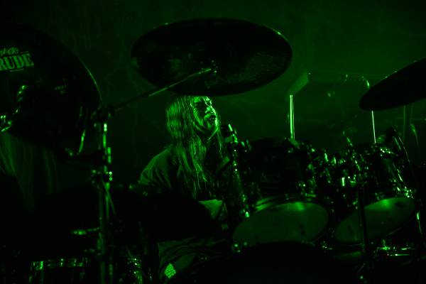 Gatecreeper à Bruxelles (Ancienne Belgique), le 04-11-2025, par Jürgen Bruynooghe — 24 sur 33