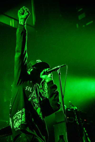 Gatecreeper à Bruxelles (Ancienne Belgique), le 04-11-2025, par Jürgen Bruynooghe — 25 sur 33