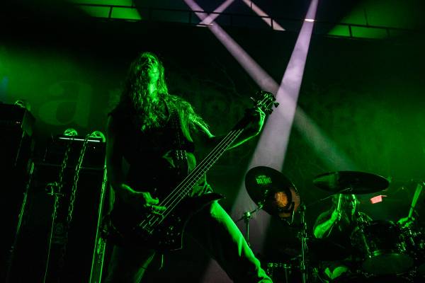Gatecreeper à Bruxelles (Ancienne Belgique), le 04-11-2025, par Jürgen Bruynooghe — 26 sur 33