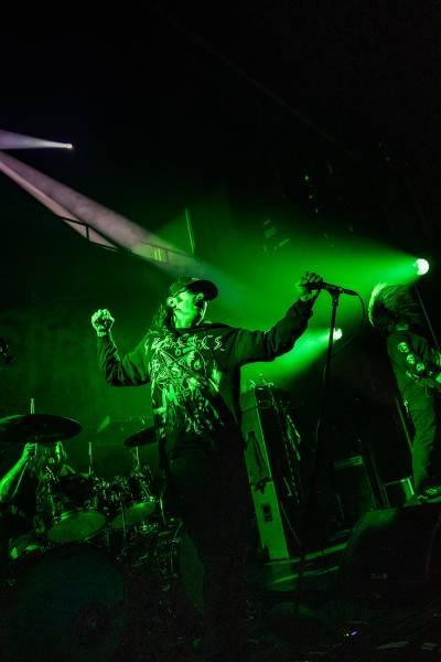 Gatecreeper à Bruxelles (Ancienne Belgique), le 04-11-2025, par Jürgen Bruynooghe — 28 sur 33