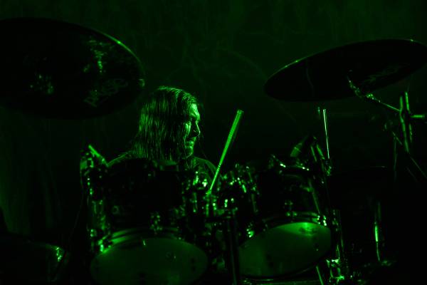 Gatecreeper à Bruxelles (Ancienne Belgique), le 04-11-2025, par Jürgen Bruynooghe — 29 sur 33