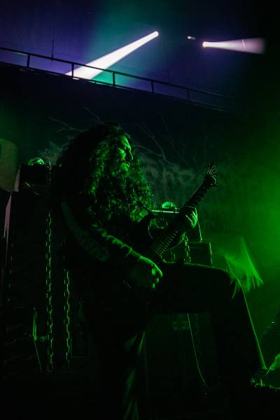Gatecreeper à Bruxelles (Ancienne Belgique), le 04-11-2025, par Jürgen Bruynooghe — 3 sur 33