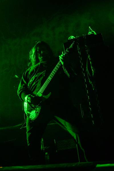 Gatecreeper à Bruxelles (Ancienne Belgique), le 04-11-2025, par Jürgen Bruynooghe — 30 sur 33