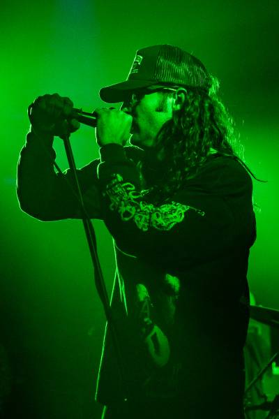 Gatecreeper à Bruxelles (Ancienne Belgique), le 04-11-2025, par Jürgen Bruynooghe — 31 sur 33