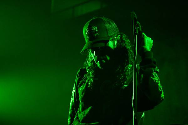 Gatecreeper à Bruxelles (Ancienne Belgique), le 04-11-2025, par Jürgen Bruynooghe — 32 sur 33